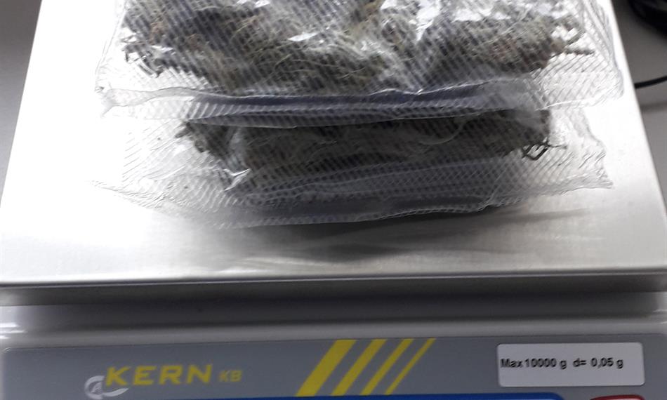 2021-1-28-122konopí 2.jpg